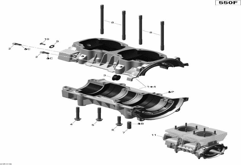 BRP SkiDoo MX Z TNT 550F, 2010  - Crankcase