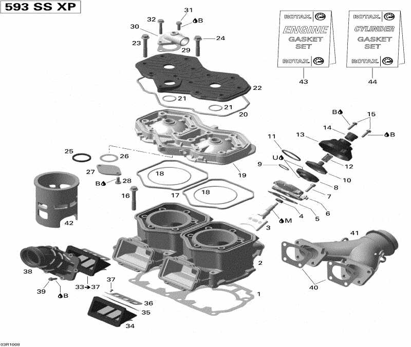  SKIDOO MX Z TNT 600, 2010 - Cylinder And Cylinder Head