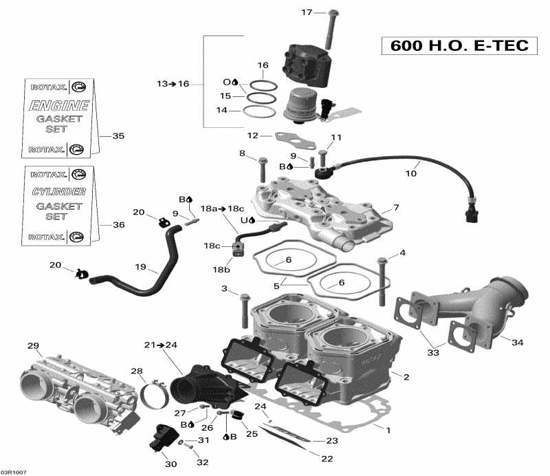  Skidoo  MX Z X 600HO ETEC, 2010 - Cylinder And Injection System