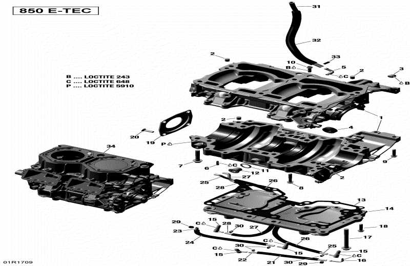 snowmobile ski-doo  RENEGADE - 2-STROKE - 850 E-TEC, 2017 - Crankcase All Models