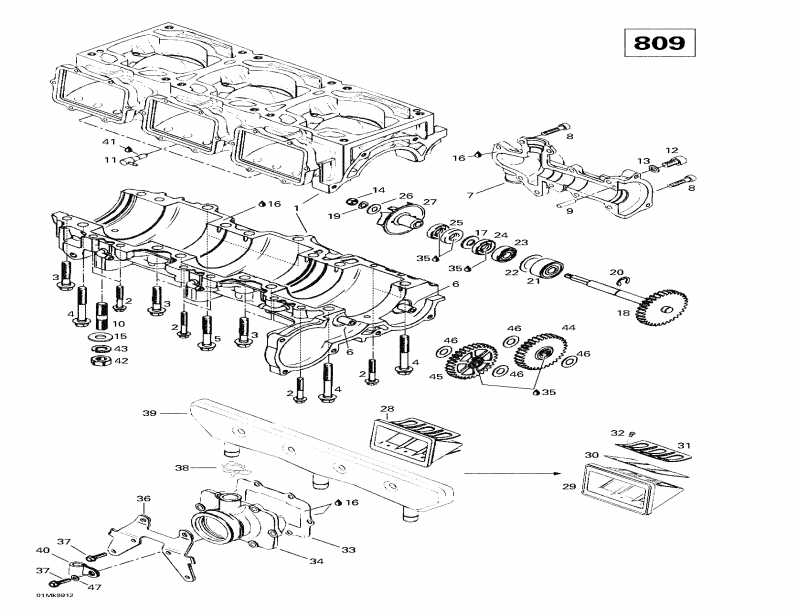 Skidoo  Mach Z, 1999 - Crankcase, Reed Valve, Water Pump (809)