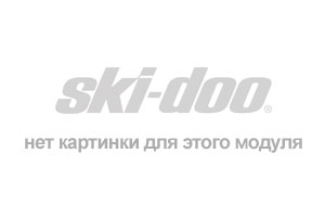 snowmobile Skidoo Skandic LT 440F, 2004 - ions