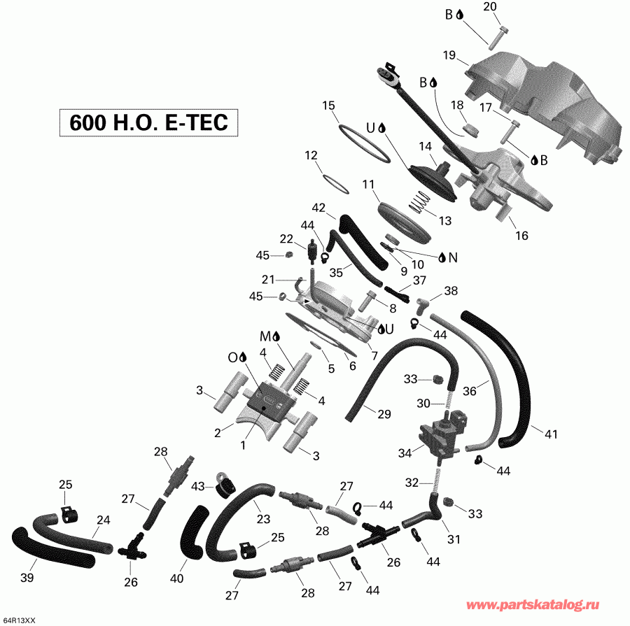 �������� ski-doo EXPEDITION LE 600HOE, REV XU, 2013 ������ - 3d Rave