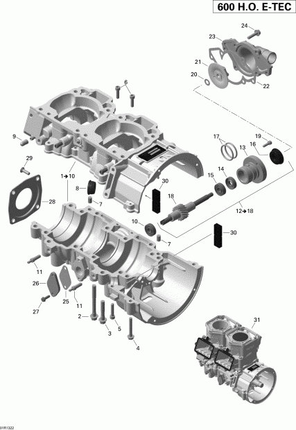 GSX LE 600HOE XP, 2013  - Crankcase And Water Pump