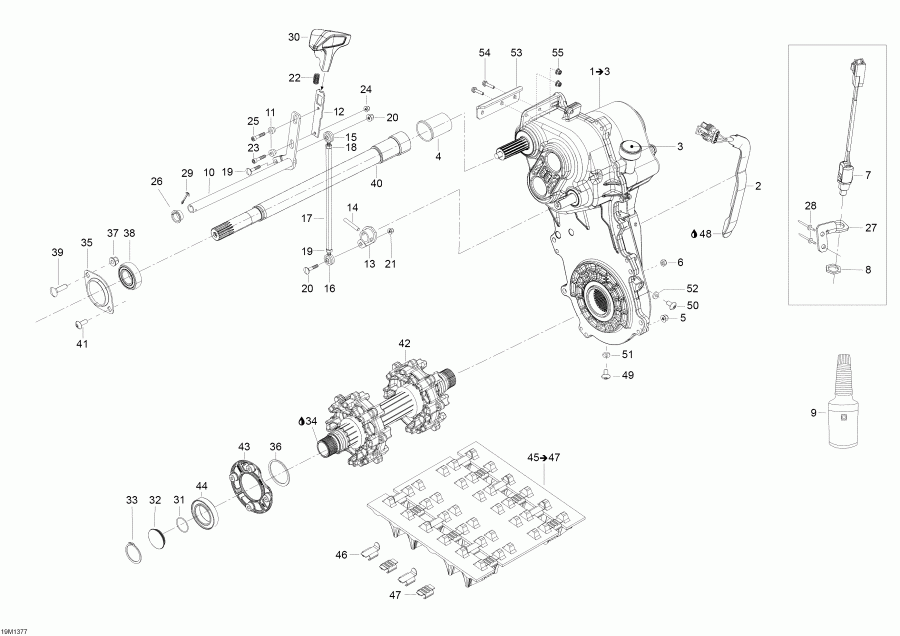 �������� Skidoo - Drive System