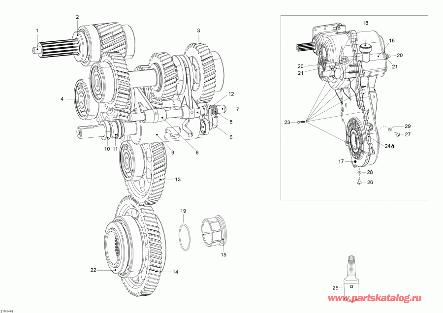 snowmobile  Skandic WT 600 ACE (4-strokes) XU, 2014  - Transmission