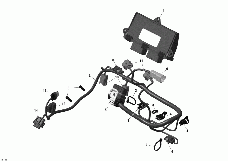  Ski-doo Skandic WT 600 ACE (4-strokes) XU, 2014 - Engine Harness