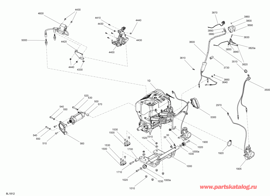 SKANDIC 550F, 2018 ������ - ��������� Skandic 550f