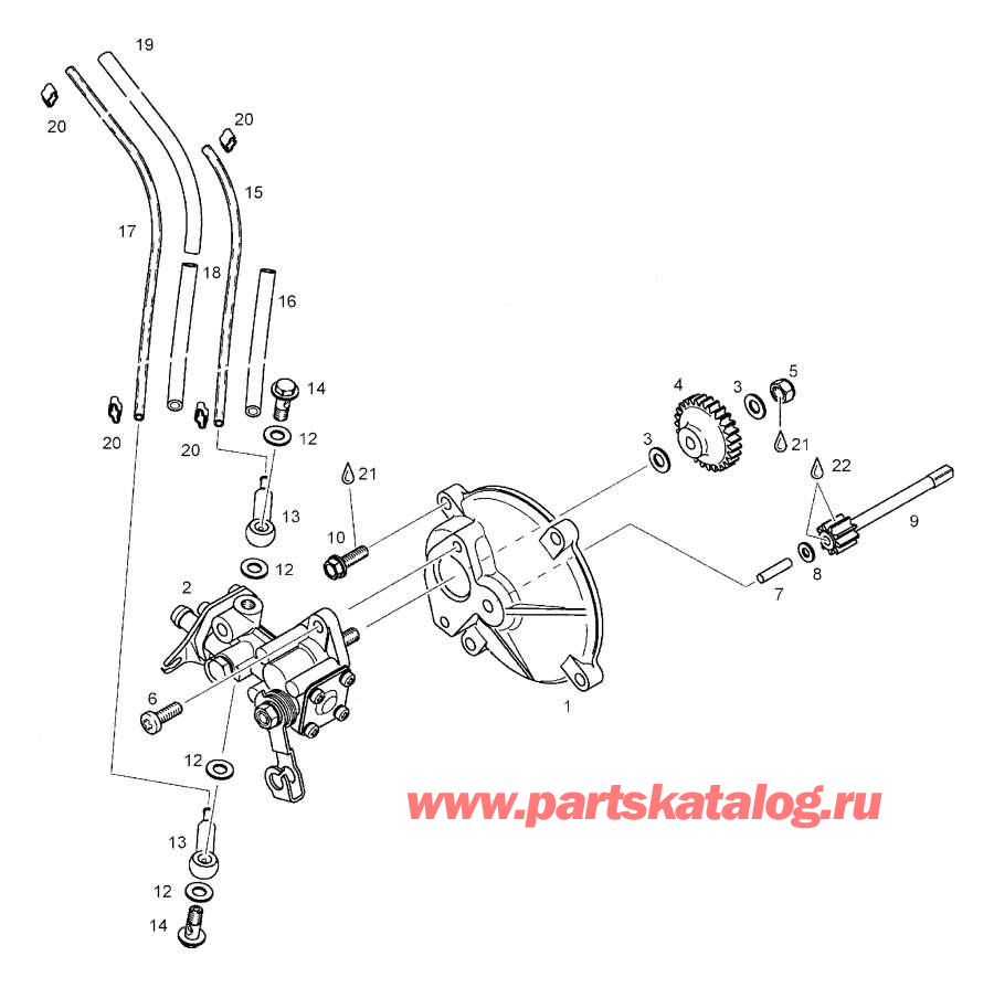 Snowmobile   -   - Oil Pump