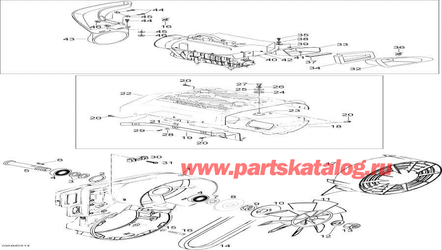 �������� Lynx  - Fan