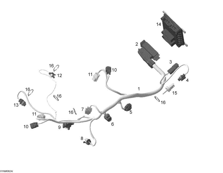  Lynx  -     Electronic Module / Engine Harness And Electronic Module