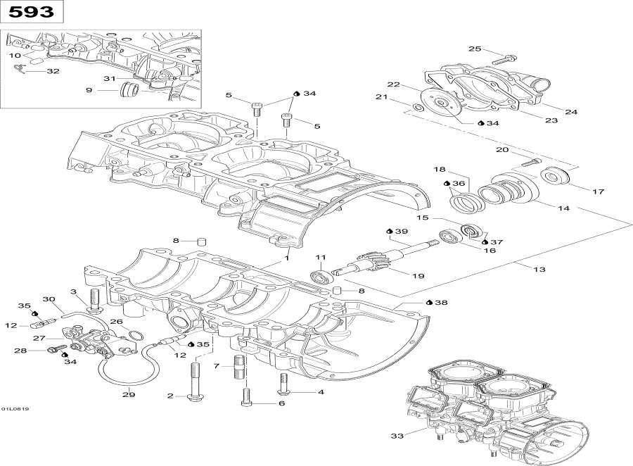Snowmobiles lynx  - Crankcase -  