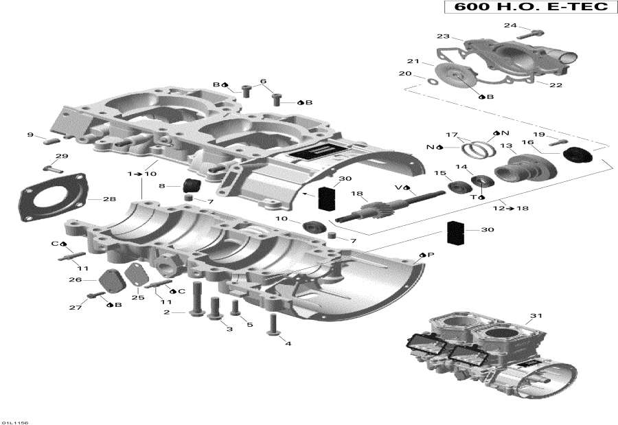 Snow mobile lynx  -     