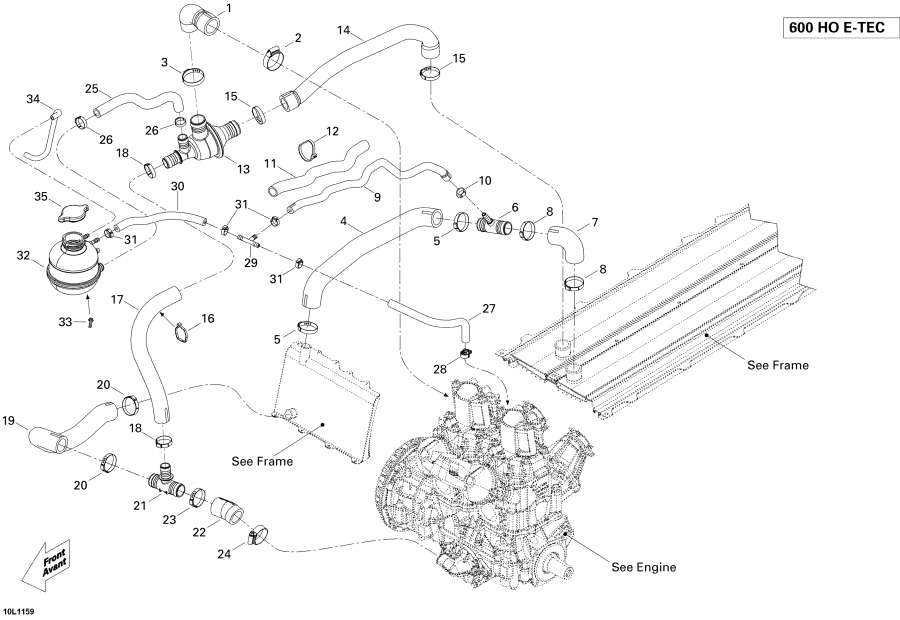  lynx  -  System , 600ho E-tec