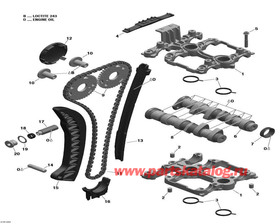 Snowmobiles lynx  -      / Camshafts And Timing Chain