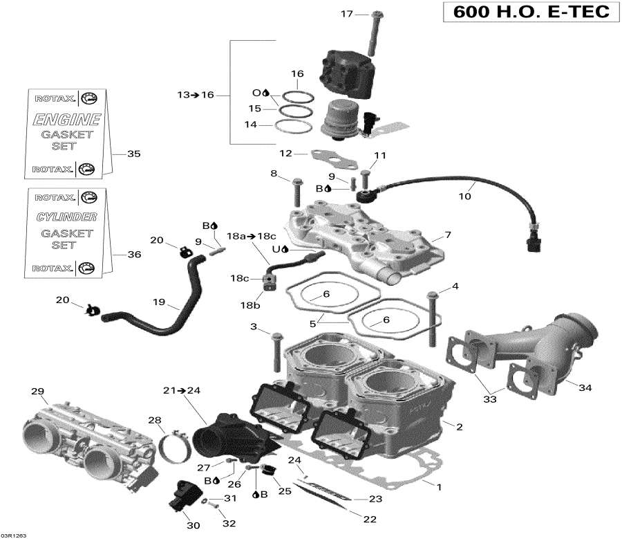  lynx  -   Injection System / Cylinder And Injection System