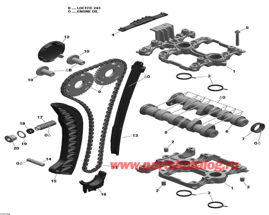 Snowmobile �����  - ����������������� ��� � ���� ����������� / Camshafts And Timing Chain