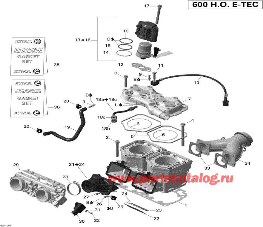 Snowmobile lynx  -   Injection System - Cylinder And Injection System