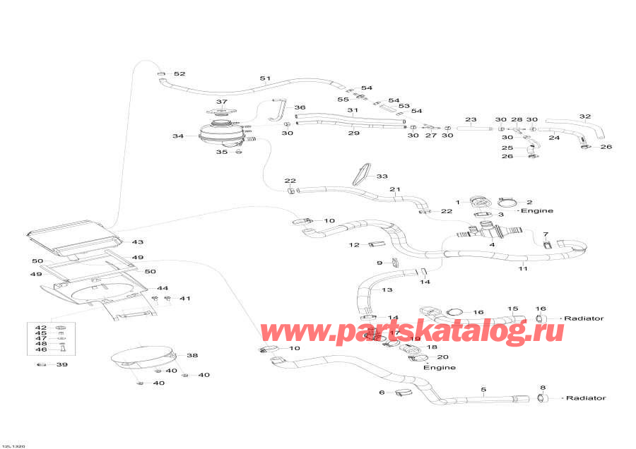 Snowmobiles lynx  - Cooling System - ���������� System