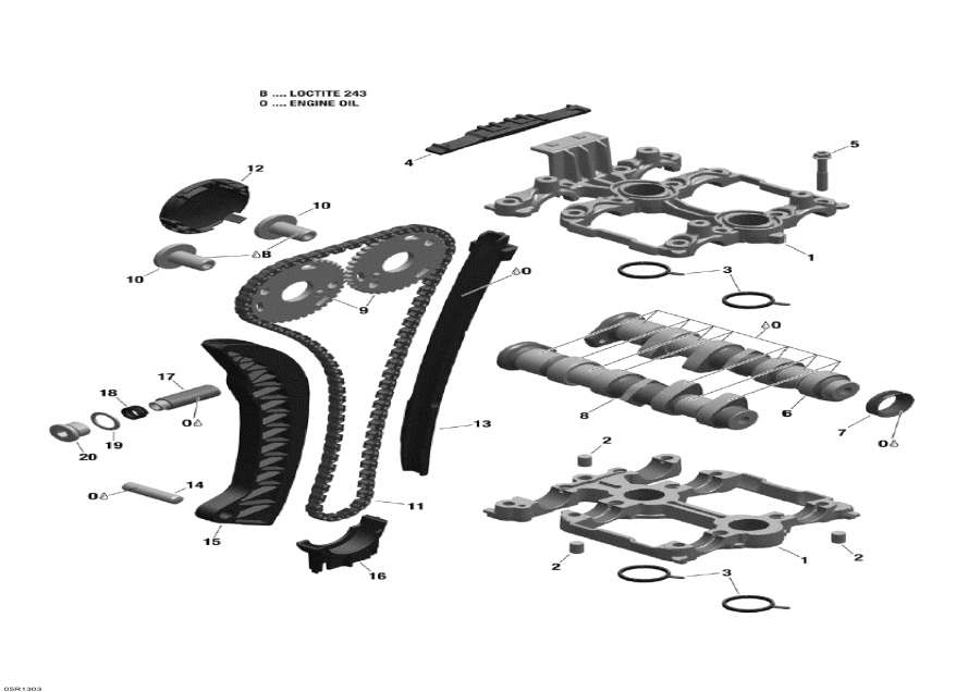 Snow mobile   - Camshafts And Timing Chain -     