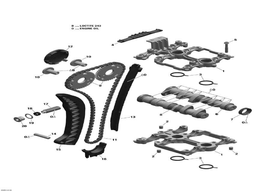    -      - Camshafts And Timing Chain