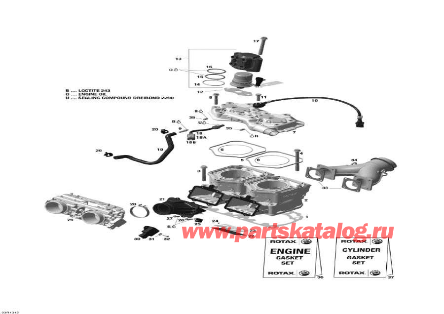 Snow mobile lynx  -   Injection System