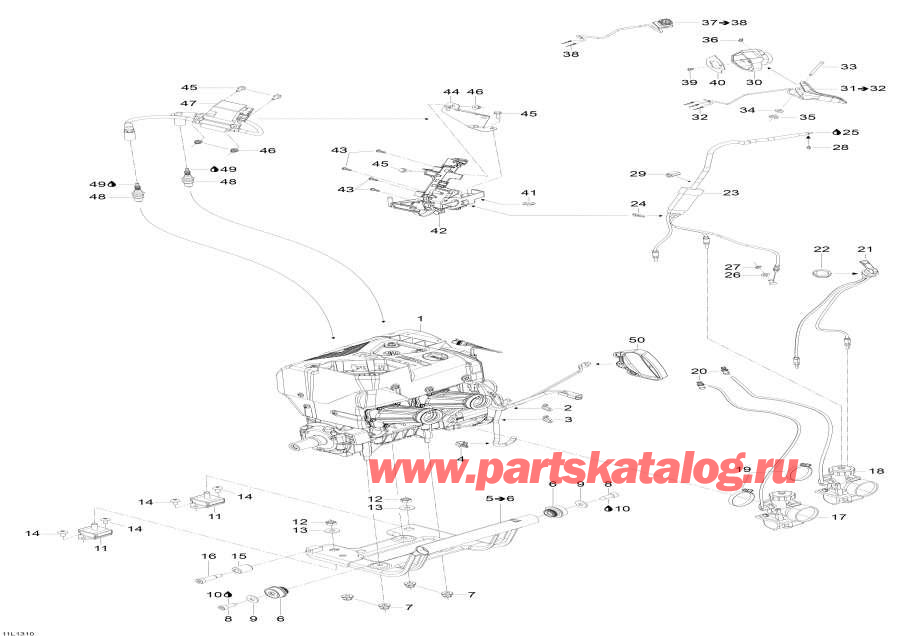 ��������� �����  - ��������� � ��������� S����port / Engine And Engine Support