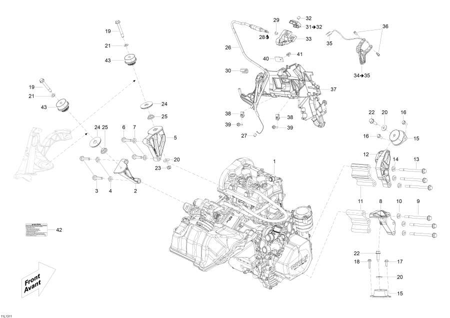  Lynx  -    Sport