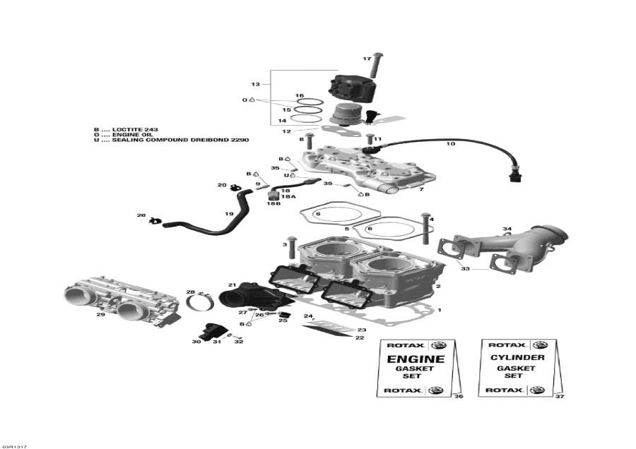 Snowmobile lynx  - ������� � Injection System - Cylinder And Injection System