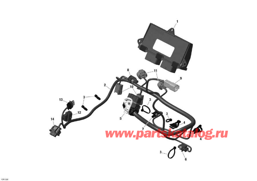 Snowmobile   -     Electronic Module / Engine Harness And Electronic Module