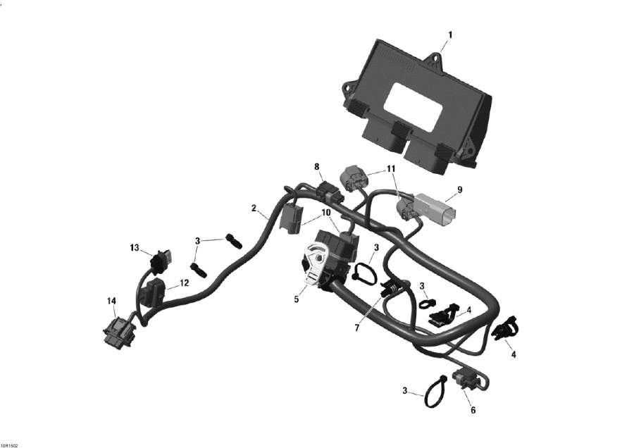 Snowmobile   - Engine Harness And Electronic Module