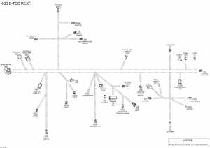 10-  -   - 600 E-tec (10- Electrical Harness - 600 E-tec)