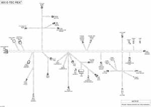 10-  -   - 800 E-tec (10- Electrical Harness - 800 E-tec)