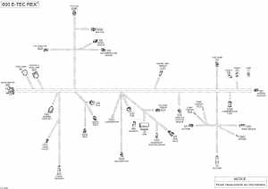 10-  -   - 600 E-tec (10- Electrical Harness - 600 E-tec)