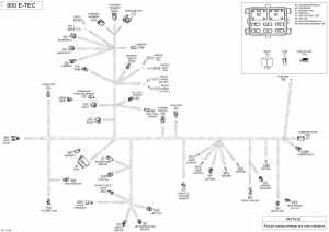 10-  -   - 800r E-tec (10- Electrical Harness - 800r E-tec)