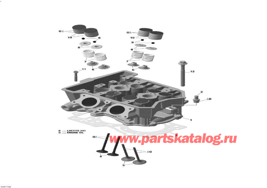 Snow mobile   - Cylinder Head And Exhaust Manifold - 600 Ace /      - 600 Ace