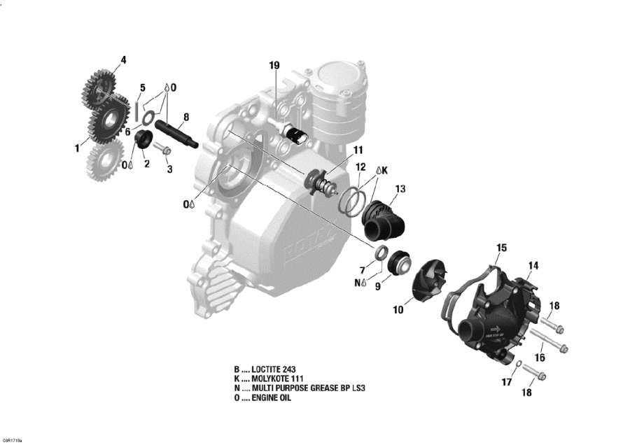  Lynx  - Engine Cooling - 900 Ace /   - 900 Ace